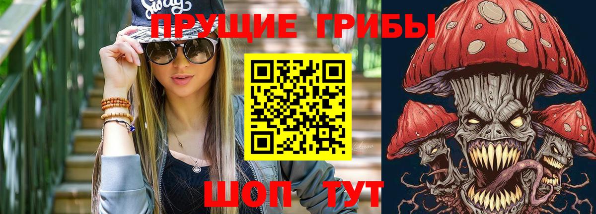 Псилоцибиновые грибы Cubensis Дзержинский